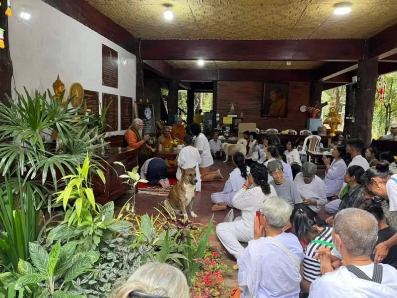 กรรมเก่าของพระอริยบุคคลทั้งหลายสิ้นแล้ว กรรมอันแต่งให้เกิดใหม่ย่อมไม่มี .