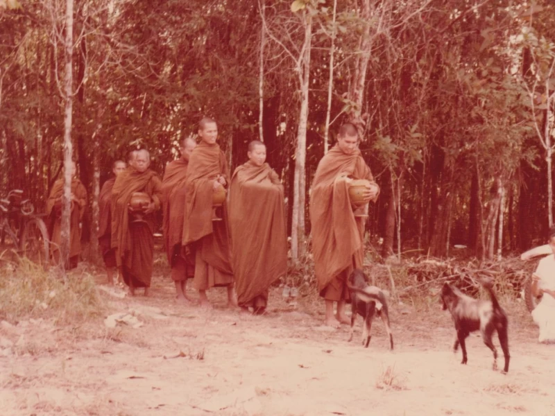 เราจึงควรต้องฝึกหรือบังคับจิตใจของเรา ให้ถึงจุดที่สามารถ ปล่อยวาง  ได้ พึงระลึกไว้ว่า เราสามารถบรรลุความสงบสุขได้ก็ด้วยการปฏิบัติ