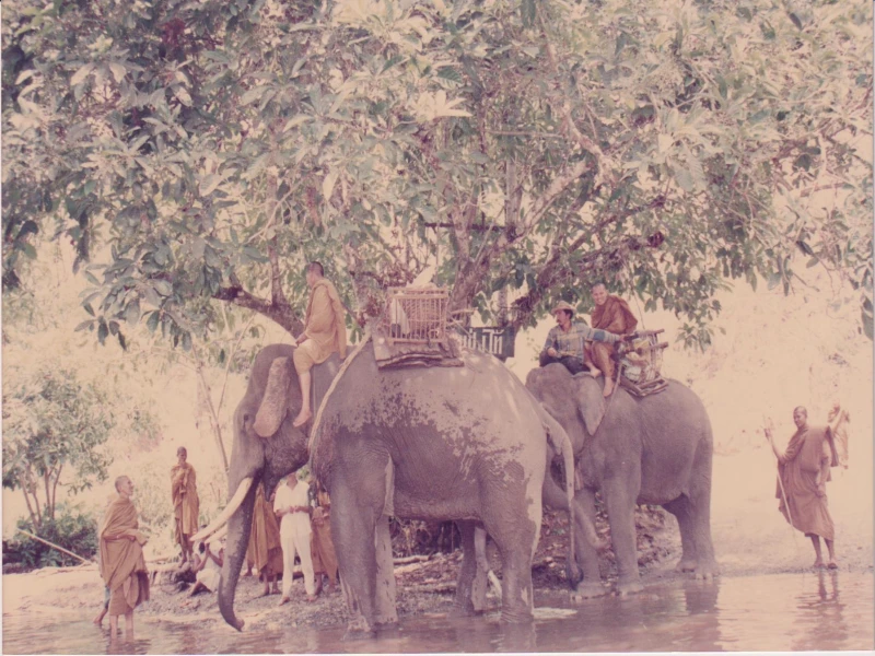 ราชาแห่งช้าง พะโคย ที่นำกองทัพธรรมสู่ทุ่งใหญ่นเรศวร กับเจ้ามอม่อ ช้างลูกครึ่ง ช้างป่ากับช้างบ้าน ด้วยน้อมนำบารมีแห่งธรรมในพระพุทธเจ้าทุกพระองค์ สรรพชีวิตวิญญาณจะเข้าถึงโลกุตรธรรมร่วมกันไปทั้งหมดทั้งมวล ทุกถ้วนหน้า ด้วยเทอญ สาธุ วสาธุ สาธุ