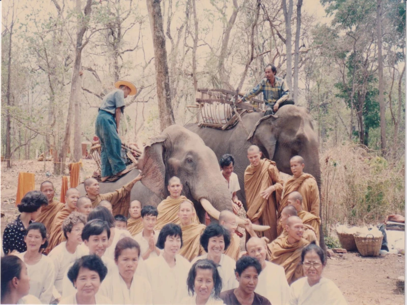 พระอาจารย์ยันตระ อมโรภิกขุ ธุดงค์ทุ่งใหญ่นเรศวร ปี 2535 ..ราชาช้าง พะโคย กับ เจ้า มอม่อ ช้างลูกครึ่ง นำพากองทัพธรรมมุ่งเขาสู่ป่าทุ่งใหญ่นเรศวร กาญจนบุรี.